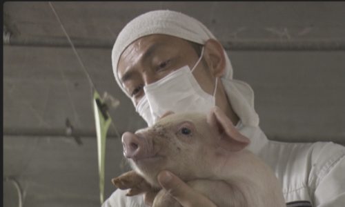 【放送案内】オフィシャルスポンサーまるみ豚の日高社長がNHKの逆転人生に出演されます。　